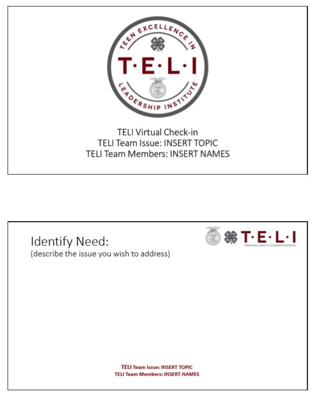 TELI Group Project PowerPoint Outline 1