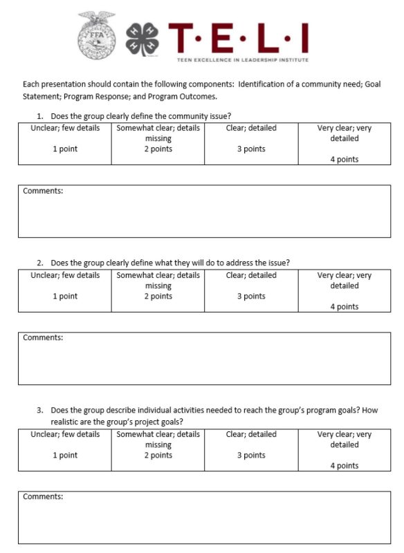 TELI Group Project Feedback Form 1