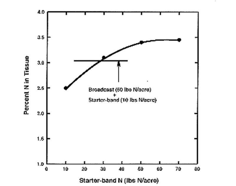 Enhanced N Availability from Starter-Band Placement Graph