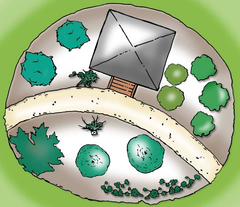 A drawing showing small fruit plants being in the same backyard as ornamental plants.