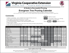 A Guide to Successful Pruning: Evergreen Tree Pruning Calendar Cover for publication: A Guide to Successful Pruning: Evergreen Tree Pruning Calendar