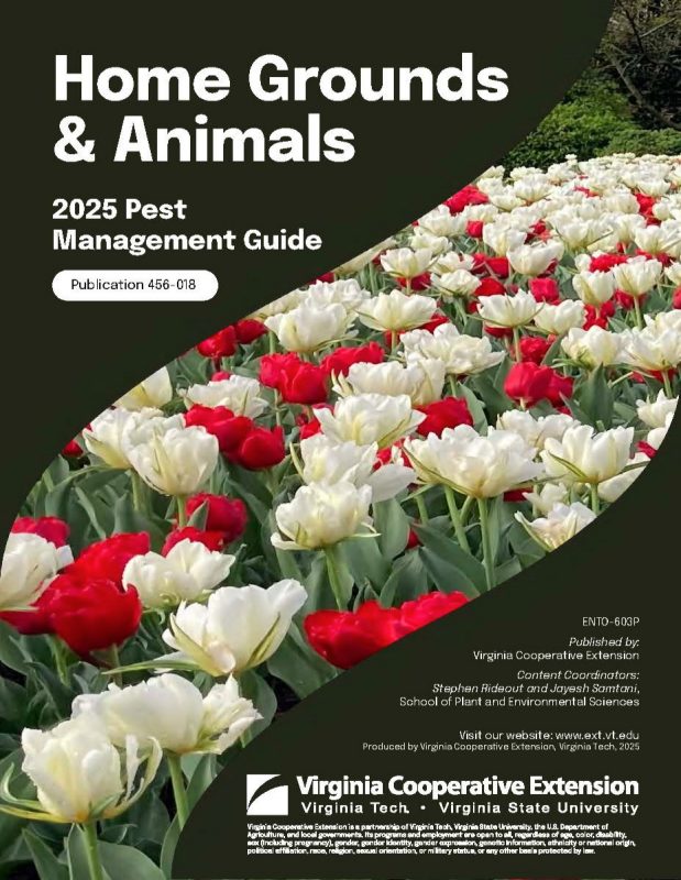 Cover page of the publication.