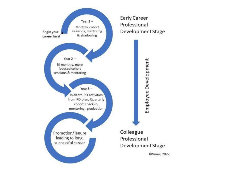 Diagram of early career professional development stages, from year one to promotion/tenure.