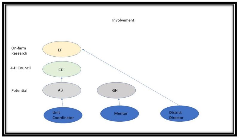 Diagram of involvement within on-farm research, 4-H council and potential