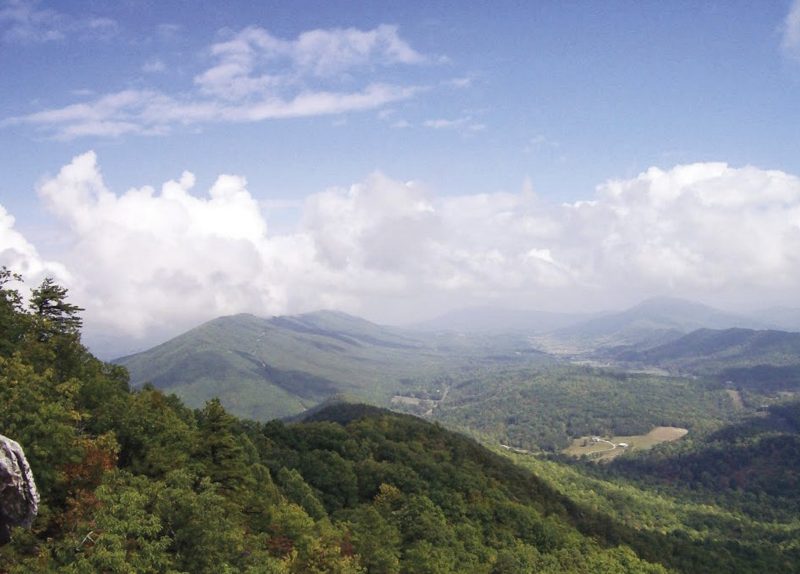 forest in Virginia picture was taken from a mountain top. Appears as a huge green mountains.