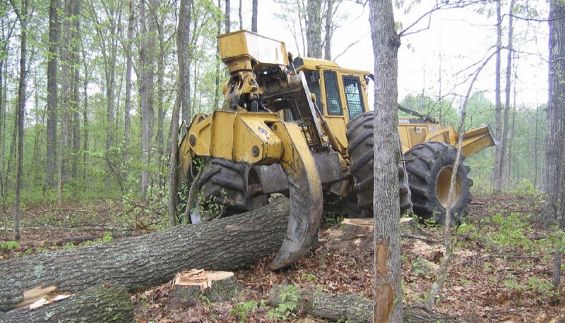 Skidder lifts one end of a log.