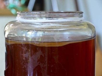 Kombucha with mother