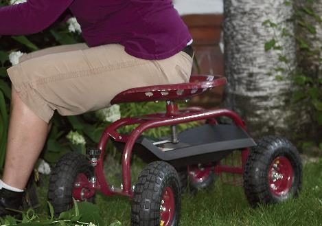 The picture shows a person seated on a small 4 wheeled cart while the person is pruning the grapevines.