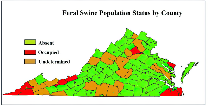 Color-coded map of Virginia showing which cities/counties have populations of feral swine (red), which do not have feral swine (green), and which are not determined (orange). Most of the map is green, with red in far Southwest and Southeast Virginia.