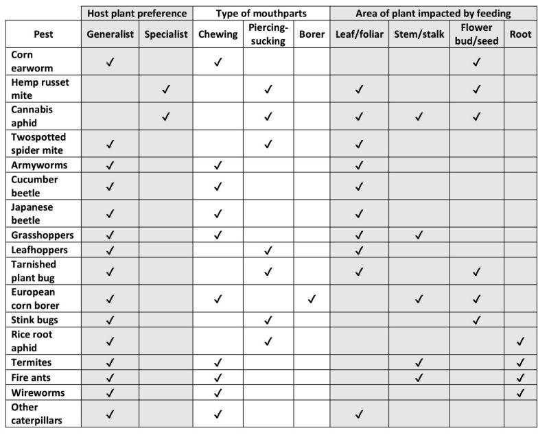 insects and mites observed in hemp are classified by host plant preference (generalist or specialist), type of mouthparts (chewing or piercing-sucking), and area of plant impacted by feeding (leaf/foliar, stem/stalk, flower bud/seed, or root).