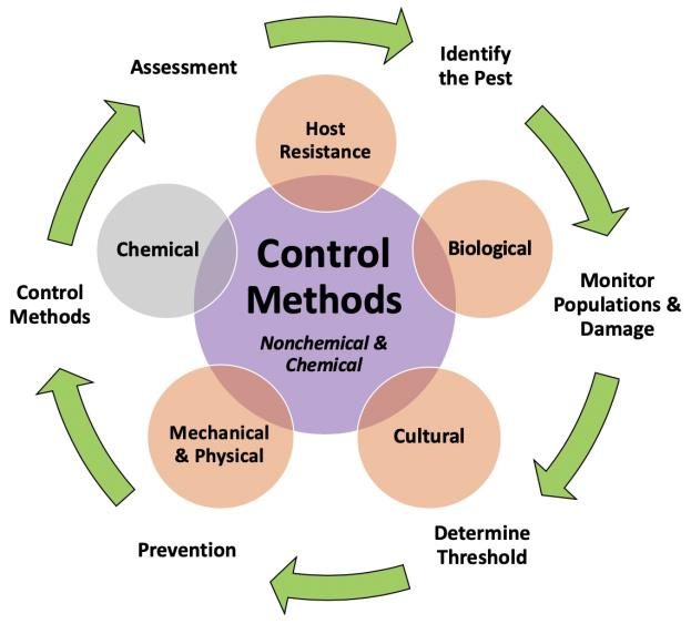 A large circle labeled Control Methods with five small circle surrounding it labeled host resistence, biologial, chemical. mechanical and physical, and cultural. Six arrows surround the circles with management tactics listed, assessment, identify the pest, monitorpopulations and damage, determine threshold, and prevention.