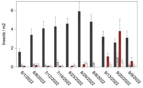 Counts of insects performed at an out-of- play pollinator habitat in a golf course in Williamsburg, VA, in 2022. Flies accounted for the largest group of insects that were seen interacting with flowering plants.