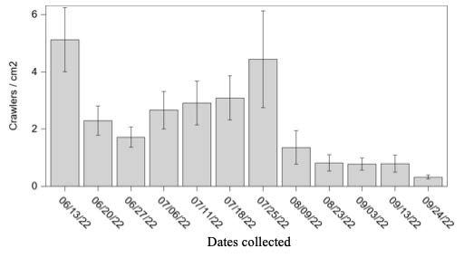 Bar graph depicting the average number ± standard error of crawlers per centimeter square captured on white electrical tapes placed at multiple infested trees near Charlottesville, Virginia, in 2022.