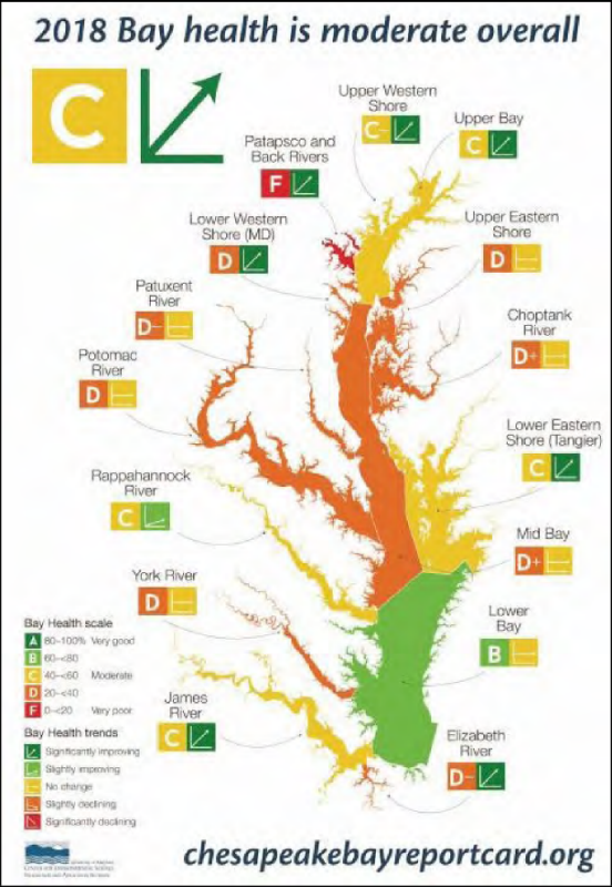Shows the Chesapeake Bay Report Card 2018. The bay is color coded and assigned a letter grade and trend designation for each of 15 sections. For example: the Potomac River section is graded D with no change while the Lower Eastern Shore section is graded C with significant improvement. Most of the grades are Cs and Ds. There are no A grades. The only B is for the Lower Bay. The Patapsco and Black Rivers section is graded F. Source: University of Maryland Center for Environmental Science (UMCES).