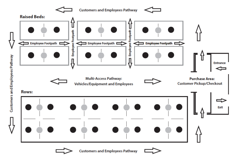 A diagram showing six raised beds with employee footpaths in between them as well as two rows of planted crop, with a large multi-access pathway in between. Arrows indicate traffic flow around the beds and planted area for customers and employees. 