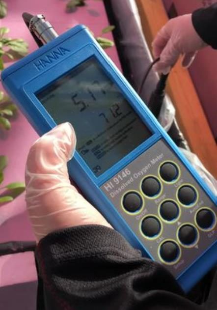 Figure 13. A dissolved oxygen meter taking measurements of water nutrient solution in a deep water culture system.