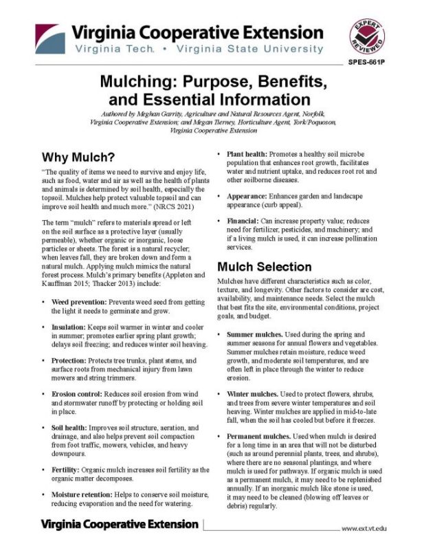 Cover page of this publication.