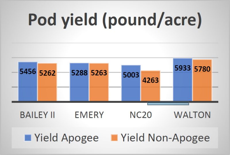  Figure 5. The yield of four peanut cultivars was not affected by prohexadione calcium (Apogee®) applied at 50% vine touching in 2022.