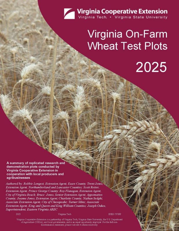 Cover page of the publication.